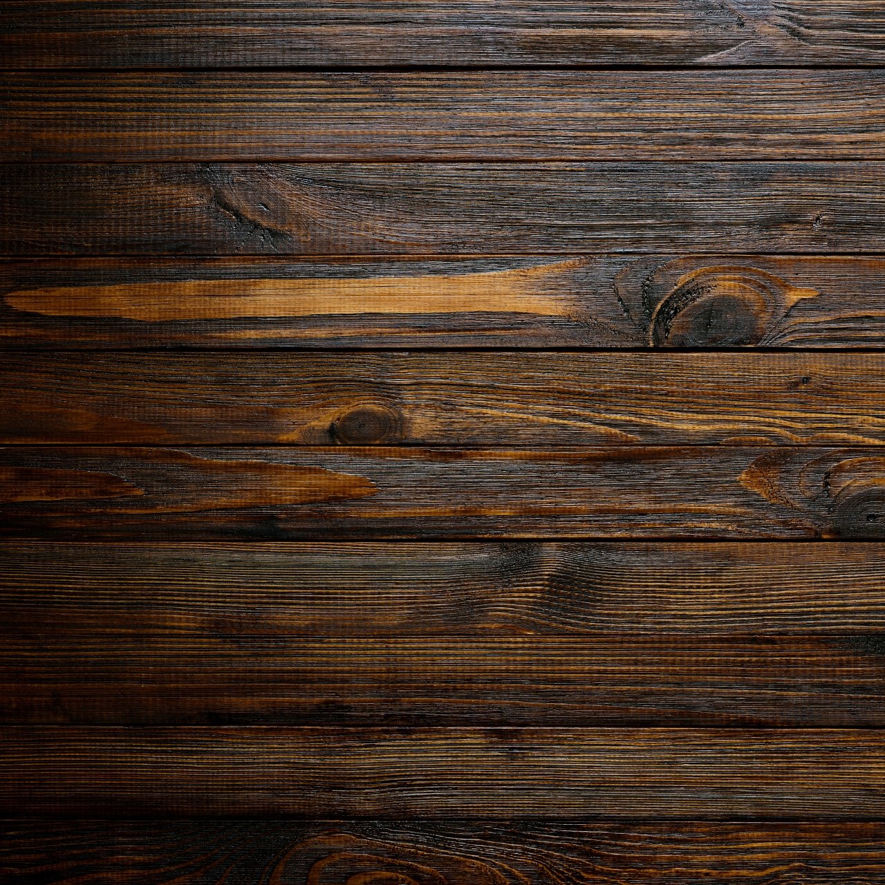 Food Photography Backdrops