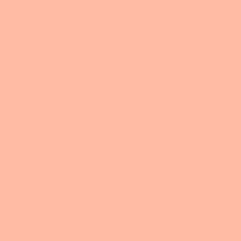 Load image into Gallery viewer, Peach