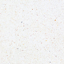 Load image into Gallery viewer, Terrazzo Earth