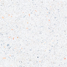 Load image into Gallery viewer, Terrazzo Palm Springs