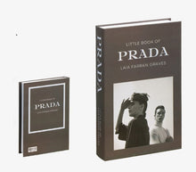 Load image into Gallery viewer, Faux Book Props 3
