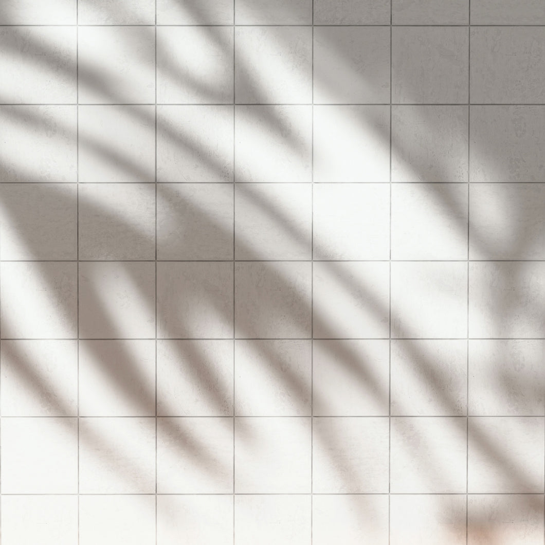 Tile with Palm Shadow