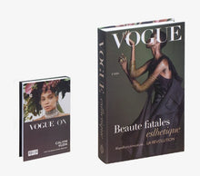 Load image into Gallery viewer, Faux Book Props 3
